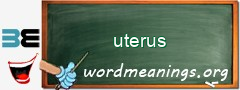 WordMeaning blackboard for uterus